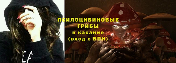 хмурый Алексин