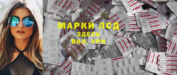 хмурый Алексин