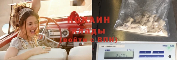 хмурый Алексин