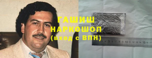 хмурый Алексин