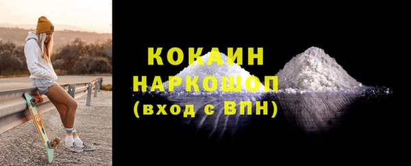 хмурый Алексин