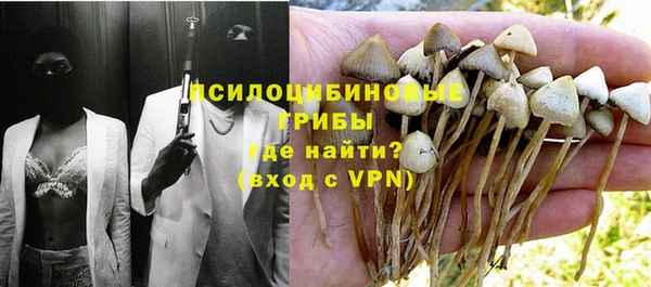 ПСИЛОЦИБИНОВЫЕ ГРИБЫ Алзамай