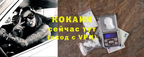 хмурый Алексин