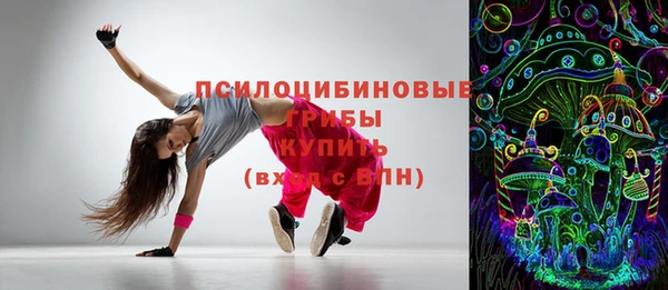 хмурый Алексин