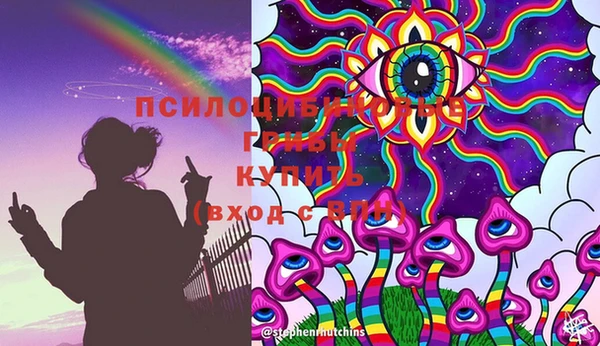 ПСИЛОЦИБИНОВЫЕ ГРИБЫ Алзамай