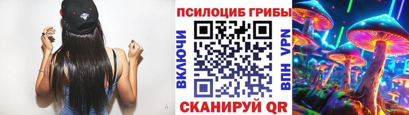 mega как войти  Беслан  Псилоцибиновые грибы MAGIC MUSHROOMS  закладки 